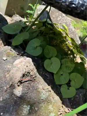 土津神社｜こどもと出世の神さま(福島県)