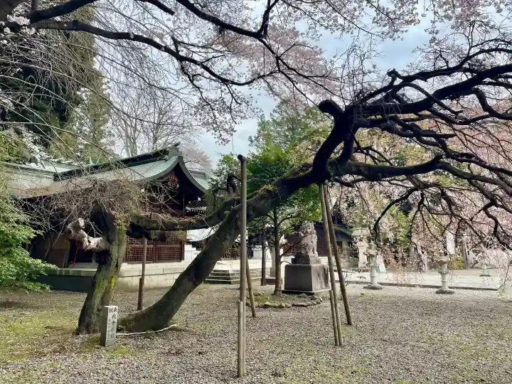 栃木縣護國神社の{uncategorized: "未分類", other: "その他", undefined: "問題あり", building: "その他建物", grave: "お墓", sacred_gate: "鳥居", guardian: "狛犬", statue: "像", buddha: "仏像", history: "歴史", nature: "自然", garden: "庭園", animal: "動物", pagoda: "塔", temizu: "手水舎", mountain_gate: "山門・神門", sanctuary: "本殿・本堂", subordinate: "末社・摂社", art: "芸術", scenery: "景色", jizo: "地蔵", ema: "絵馬", goshuin: "御朱印", omikuji: "おみくじ", items: "授与品その他", amulet: "お守り", goshuincho: "御朱印帳", eats: "食事", festival: "お祭り", votive_dance: "神楽", shichigosan: "七五三参", wedding: "結婚式", experience: "体験その他", initially: "初詣", around: "周辺", anti_infection: "感染症対策"}