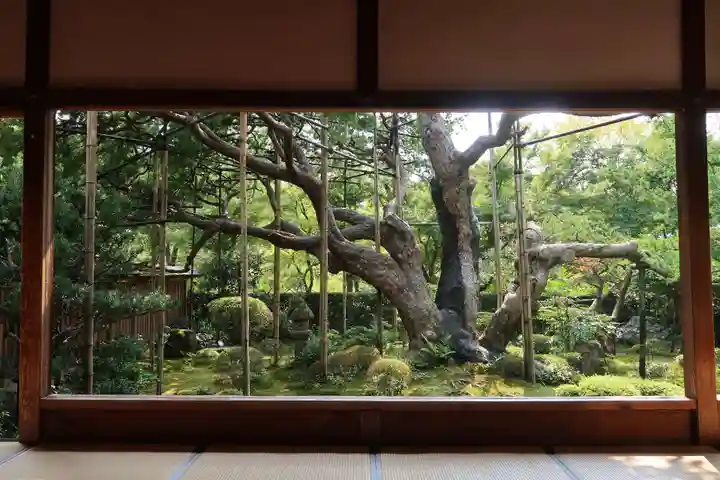 宝泉院(京都府)