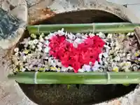 立志神社の手水舎