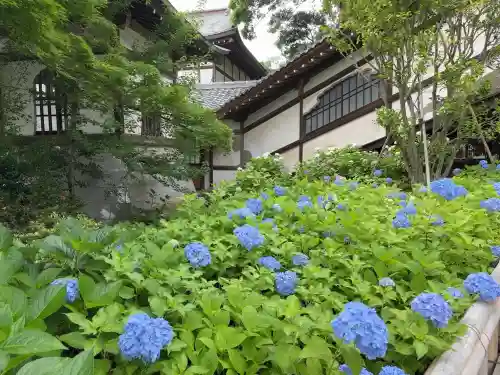 時宗総本山 遊行寺（正式：清浄光寺）の庭園