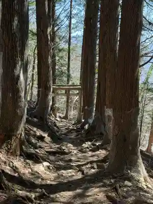 三峯神社奥宮の{uncategorized: "未分類", other: "その他", undefined: "問題あり", building: "その他建物", grave: "お墓", sacred_gate: "鳥居", guardian: "狛犬", statue: "像", buddha: "仏像", history: "歴史", nature: "自然", garden: "庭園", animal: "動物", pagoda: "塔", temizu: "手水舎", mountain_gate: "山門・神門", sanctuary: "本殿・本堂", subordinate: "末社・摂社", art: "芸術", scenery: "景色", jizo: "地蔵", ema: "絵馬", goshuin: "御朱印", omikuji: "おみくじ", items: "授与品その他", amulet: "お守り", goshuincho: "御朱印帳", eats: "食事", festival: "お祭り", votive_dance: "神楽", shichigosan: "七五三参", wedding: "結婚式", experience: "体験その他", initially: "初詣", around: "周辺", anti_infection: "感染症対策"}