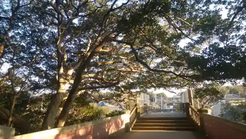 猿田神社のその他建物