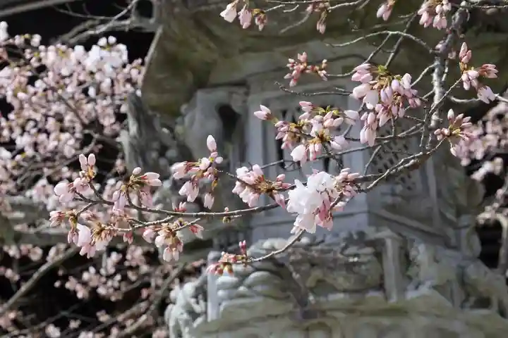 近江神宮(滋賀県)