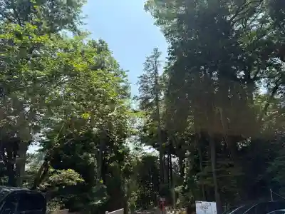 常陸國總社宮の{uncategorized: "未分類", other: "その他", undefined: "問題あり", building: "その他建物", grave: "お墓", sacred_gate: "鳥居", guardian: "狛犬", statue: "像", buddha: "仏像", history: "歴史", nature: "自然", garden: "庭園", animal: "動物", pagoda: "塔", temizu: "手水舎", mountain_gate: "山門・神門", sanctuary: "本殿・本堂", subordinate: "末社・摂社", art: "芸術", scenery: "景色", jizo: "地蔵", ema: "絵馬", goshuin: "御朱印", omikuji: "おみくじ", items: "授与品その他", amulet: "お守り", goshuincho: "御朱印帳", eats: "食事", festival: "お祭り", votive_dance: "神楽", shichigosan: "七五三参", wedding: "結婚式", experience: "体験その他", initially: "初詣", around: "周辺", anti_infection: "感染症対策"}