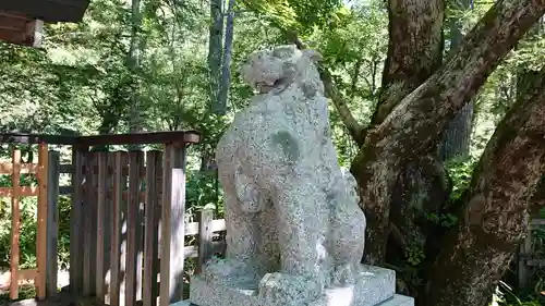 穂高神社奥宮の狛犬