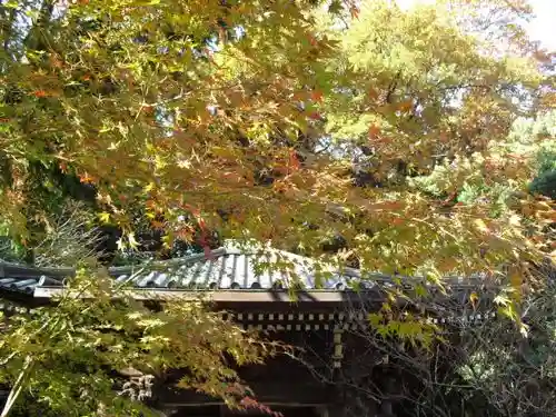 安國論寺(安国論寺)の自然