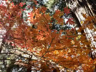 北野神社(福島県)
