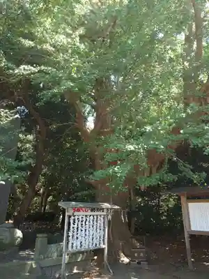 鎌数伊勢大神宮(千葉県)