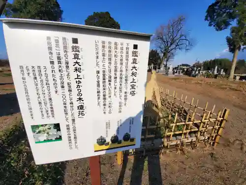 下野薬師寺 (旧 安國寺)のその他建物