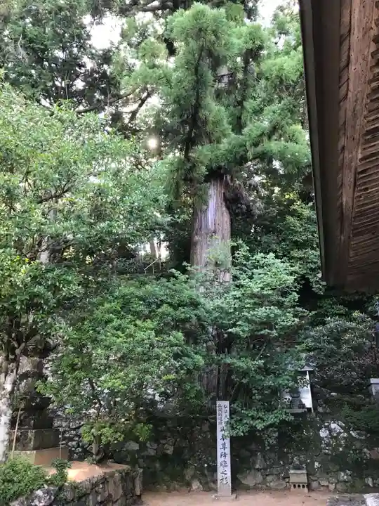 鶴林寺の自然