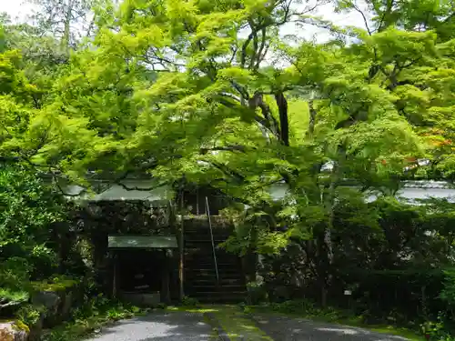 神藏寺(京都府)