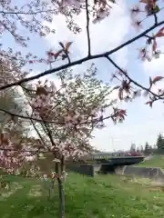 長沼神社の自然