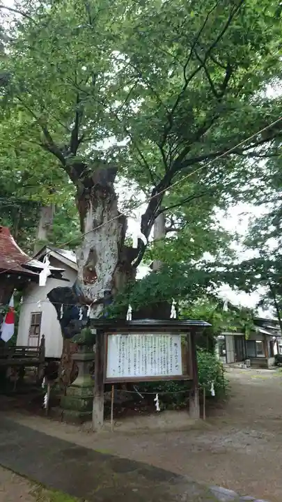 鹿嶋神社の自然