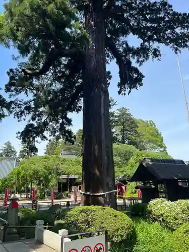 六地蔵寺(茨城県)