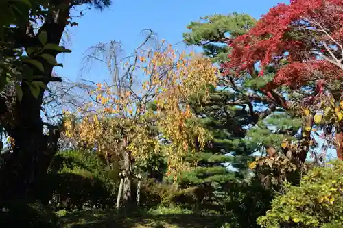 開成山大神宮の庭園