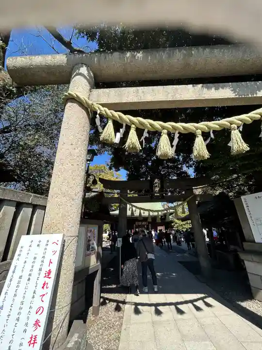 川越氷川神社(埼玉県)