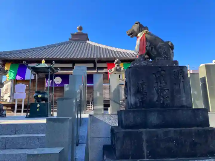 成田山 薬師堂(旧本堂)(千葉県)