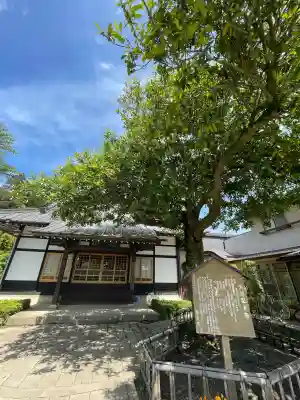 鏡石鹿嶋神社 ＊安産・開運・勝利の神さま＊の{uncategorized: "未分類", other: "その他", undefined: "問題あり", building: "その他建物", grave: "お墓", sacred_gate: "鳥居", guardian: "狛犬", statue: "像", buddha: "仏像", history: "歴史", nature: "自然", garden: "庭園", animal: "動物", pagoda: "塔", temizu: "手水舎", mountain_gate: "山門・神門", sanctuary: "本殿・本堂", subordinate: "末社・摂社", art: "芸術", scenery: "景色", jizo: "地蔵", ema: "絵馬", goshuin: "御朱印", omikuji: "おみくじ", items: "授与品その他", amulet: "お守り", goshuincho: "御朱印帳", eats: "食事", festival: "お祭り", votive_dance: "神楽", shichigosan: "七五三参", wedding: "結婚式", experience: "体験その他", initially: "初詣", around: "周辺", anti_infection: "感染症対策"}