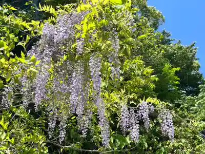 朝護孫子寺(奈良県)