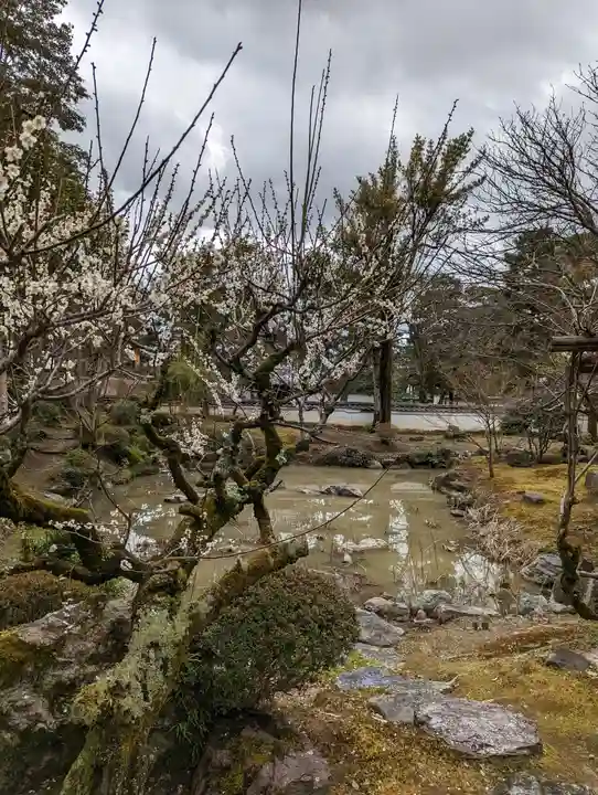 萬福寺(京都府)