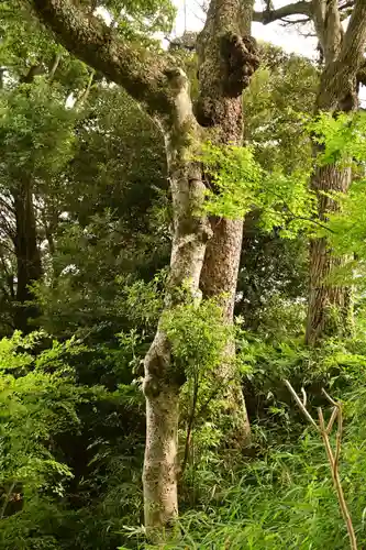 一畑薬師(島根県)