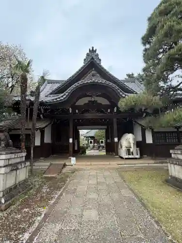 観音寺（世田谷山観音寺）の{uncategorized: "未分類", other: "その他", undefined: "問題あり", building: "その他建物", grave: "お墓", sacred_gate: "鳥居", guardian: "狛犬", statue: "像", buddha: "仏像", history: "歴史", nature: "自然", garden: "庭園", animal: "動物", pagoda: "塔", temizu: "手水舎", mountain_gate: "山門・神門", sanctuary: "本殿・本堂", subordinate: "末社・摂社", art: "芸術", scenery: "景色", jizo: "地蔵", ema: "絵馬", goshuin: "御朱印", omikuji: "おみくじ", items: "授与品その他", amulet: "お守り", goshuincho: "御朱印帳", eats: "食事", festival: "お祭り", votive_dance: "神楽", shichigosan: "七五三参", wedding: "結婚式", experience: "体験その他", initially: "初詣", around: "周辺", anti_infection: "感染症対策"}