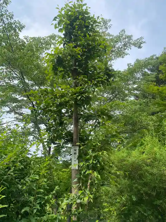 石都々古和気神社(福島県)