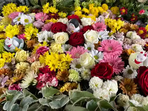 於菊稲荷神社の手水舎