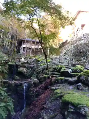 古知谷阿弥陀寺(京都府)