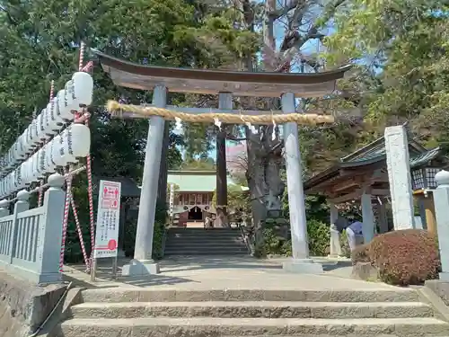 比々多神社の鳥居