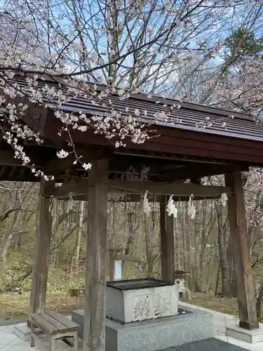 新得神社の手水舎