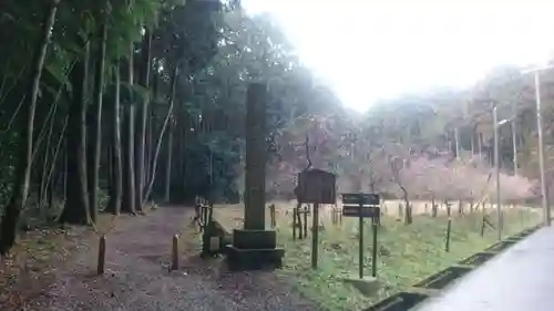 天満神社の自然