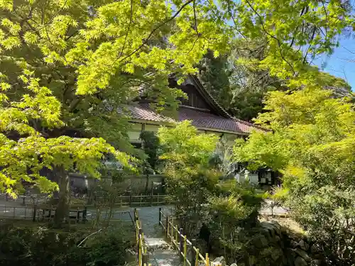 聖寳寺の庭園