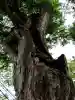 生島足島神社(長野県)