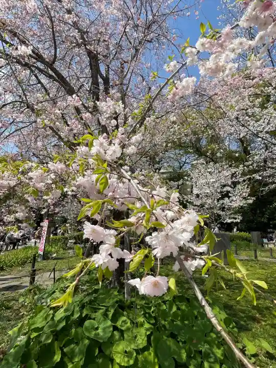 靖國神社(東京都)