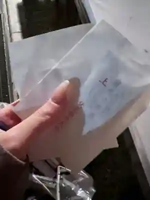 伏見稲荷大社(京都府)