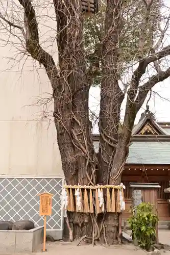 櫛田神社(福岡県)