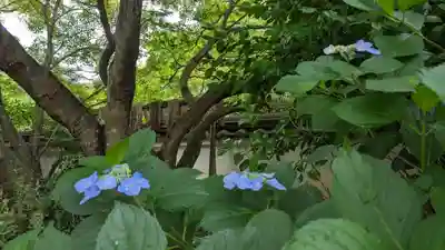 海印寺寂照院(京都府)