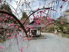 大豊神社の自然