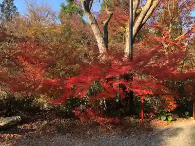 鉾立山天王院(福岡県)