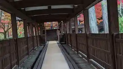 真正極楽寺(真如堂)(京都府)