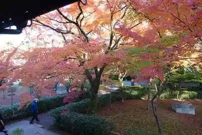 真正極楽寺(真如堂)(京都府)