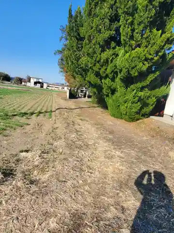 八幡神社(吉水町)(栃木県)