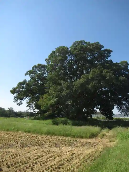 神明神社(千葉県)