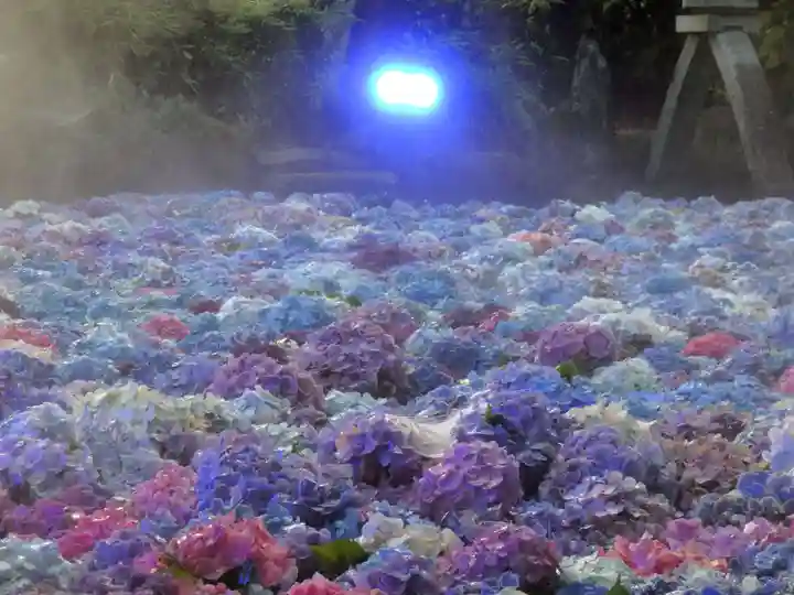 楽法寺(雨引観音)のお祭り