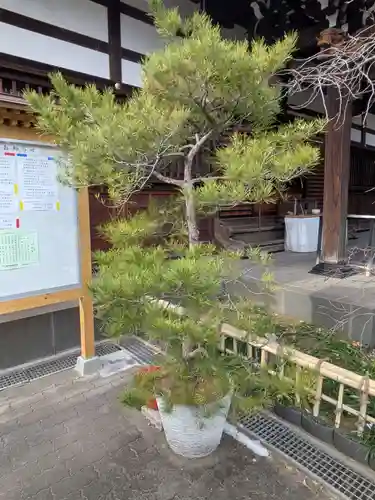 永稱寺(東京都)