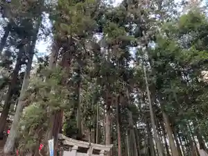 大宮温泉神社(栃木県)(2023年01月12日(木) 07時20分34秒投稿)