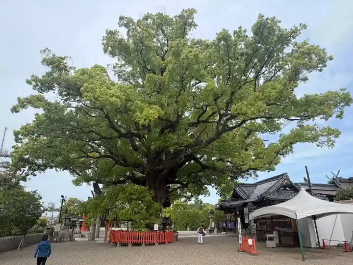 百舌鳥八幡宮(大阪府)