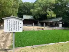 大山祇神社の建物その他